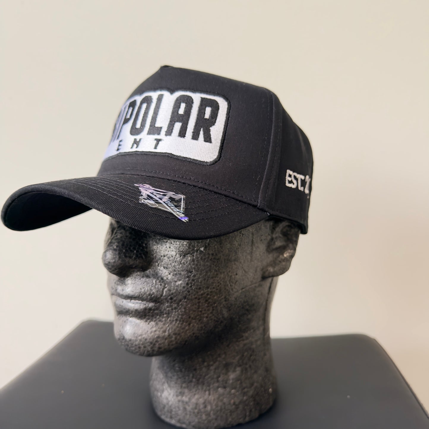 BIPOLAR ENT SNAPBACKS