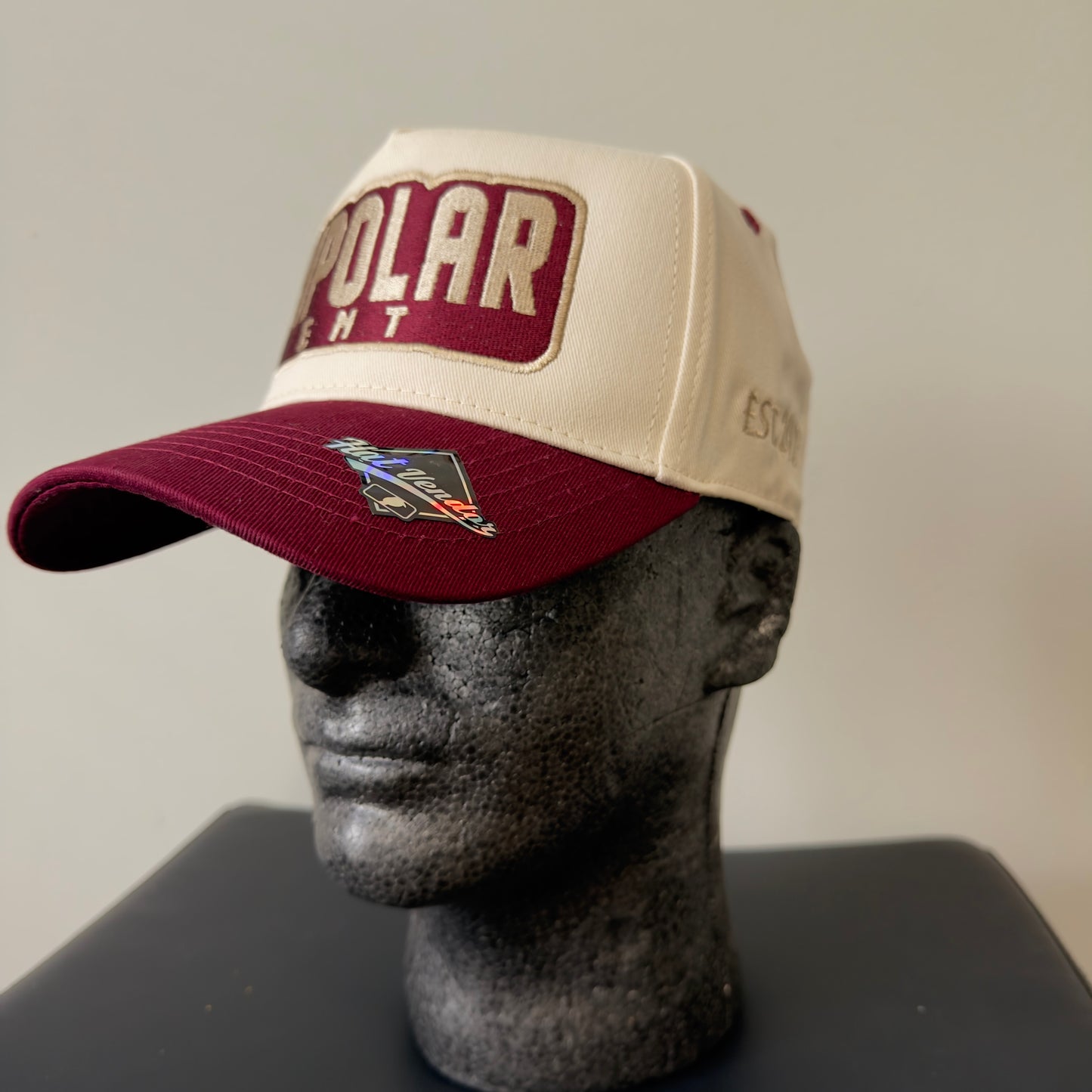 BIPOLAR ENT SNAPBACKS