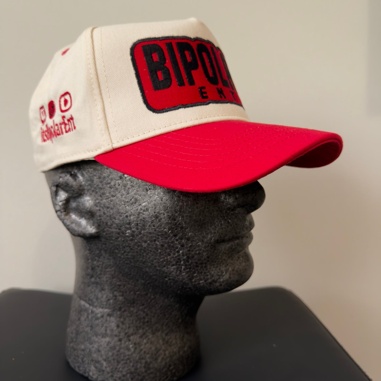 BIPOLAR ENT SNAPBACKS