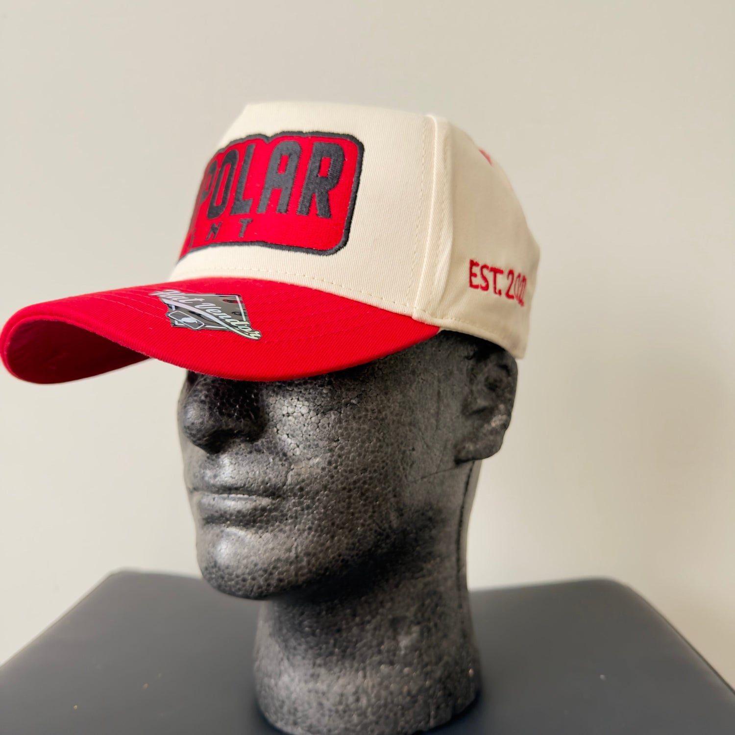 NEW SNAPBACKS
