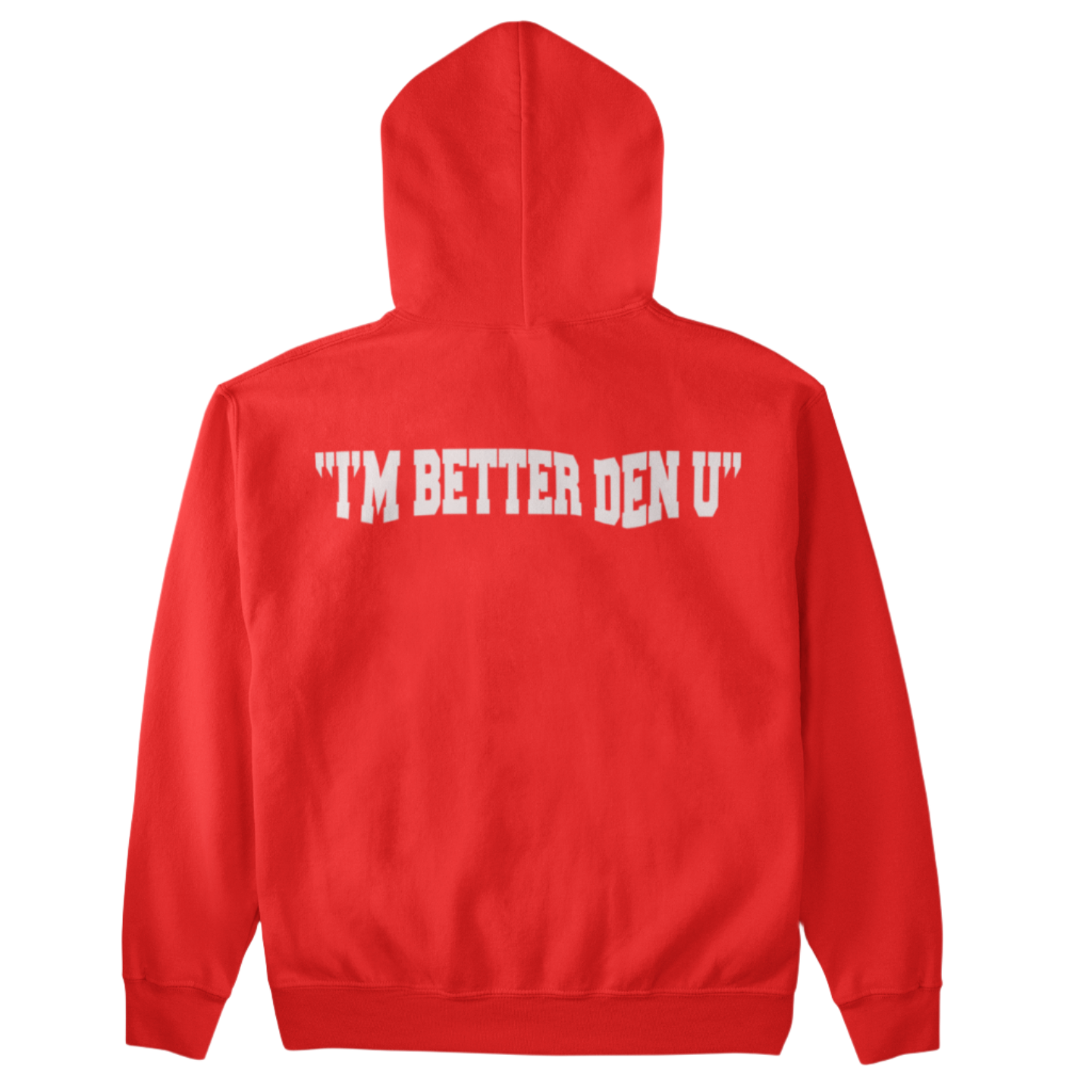 BPE UNIVERSITY HOODIE